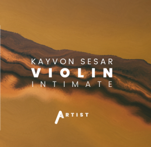 小提琴Inletaudio – Kayvon Violin Intimate-0mac