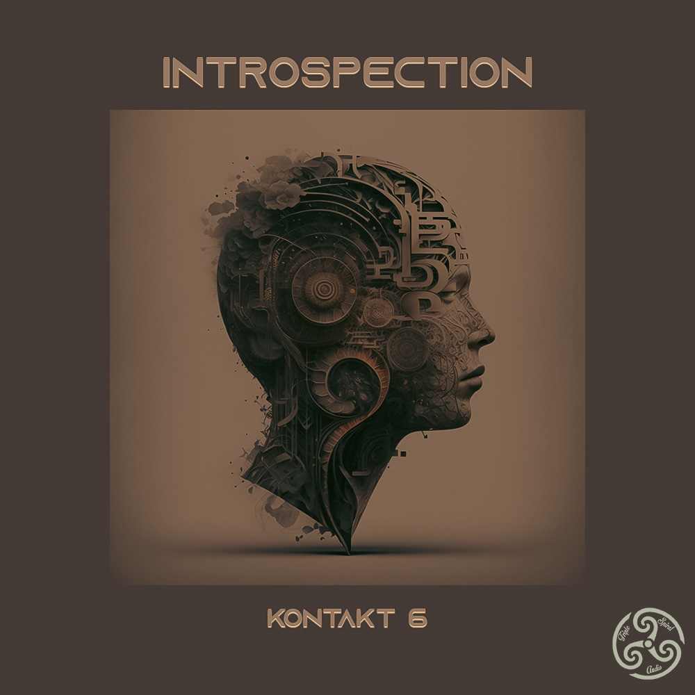 Triple Spiral Audio – Introspection 1.1.0 (KONTAKT)-0mac